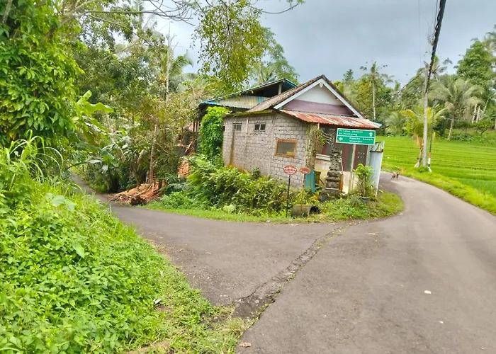 Nostalgia Selemadeg (Bali)